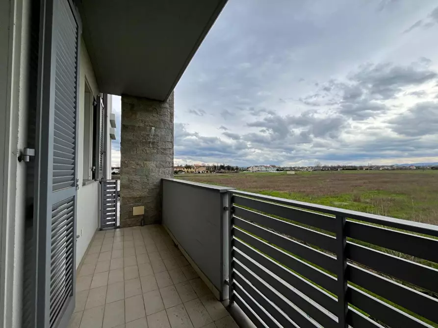 Immagine 21 di Appartamento in vendita  a Pontedera