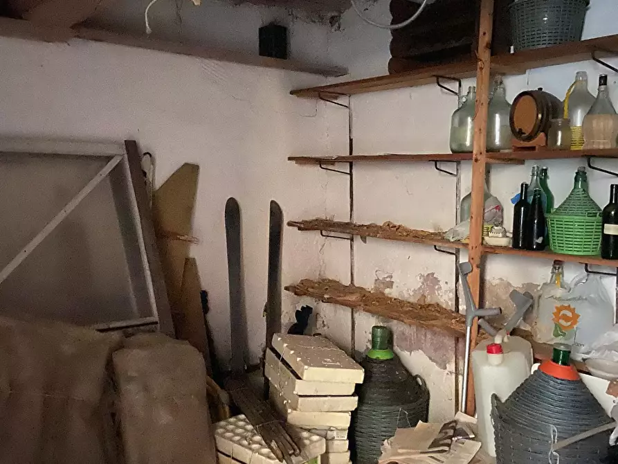 Immagine 17 di Terratetto in vendita  a Vecchiano