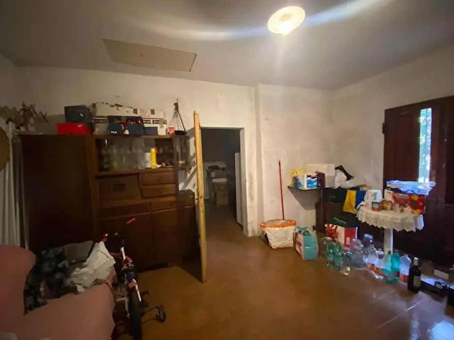 Immagine 19 di Terratetto in vendita  a Vecchiano
