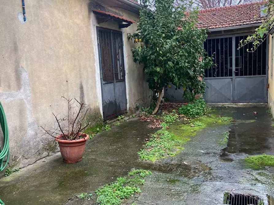 Immagine 16 di Terratetto in vendita  a Vecchiano