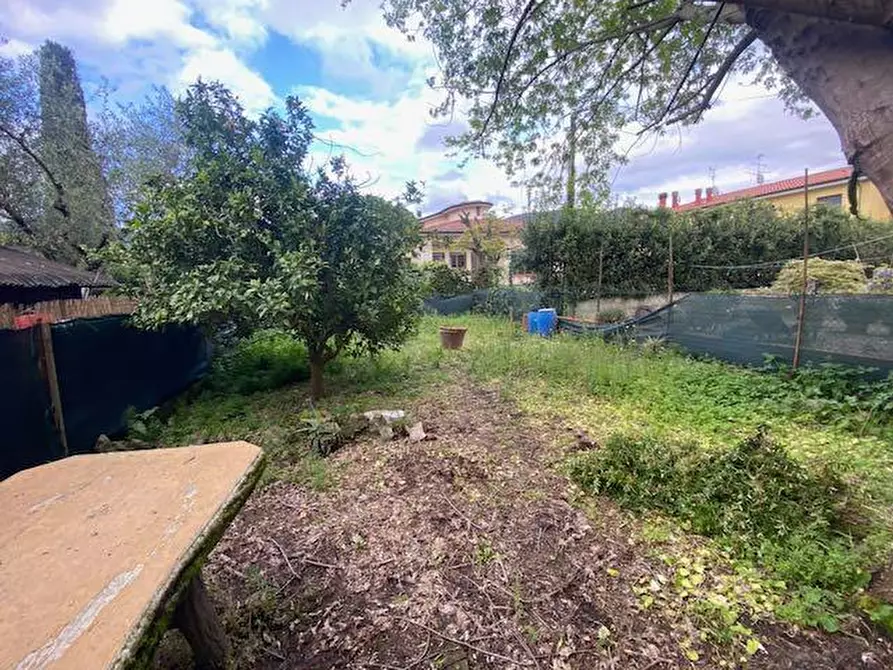 Immagine 21 di Terratetto in vendita  a Vecchiano