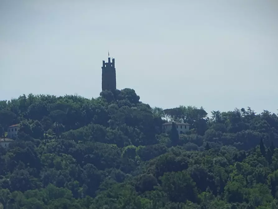 Immagine 4 di Ufficio in affitto  a San Miniato