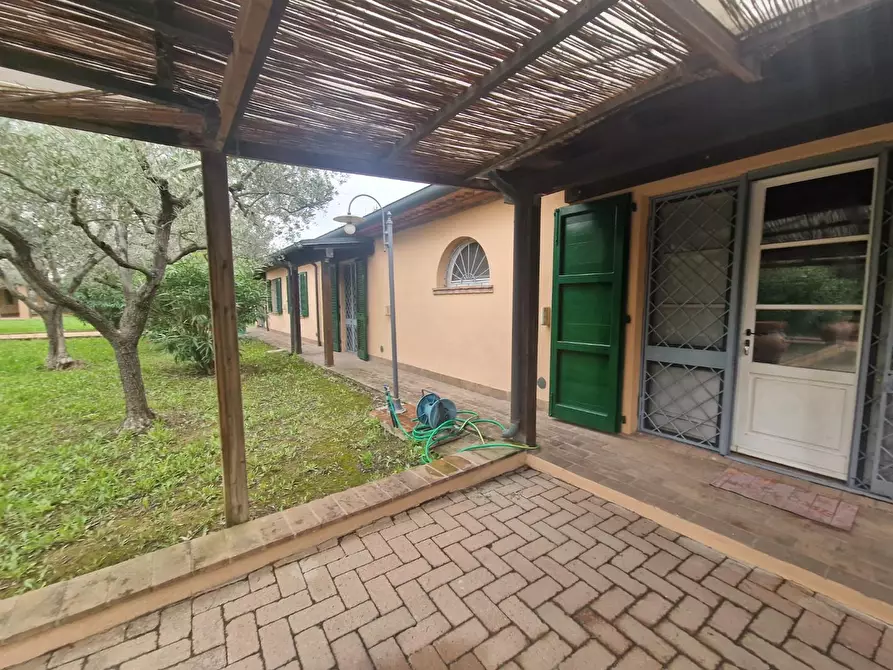 Immagine 5 di Villa in vendita  a Cecina