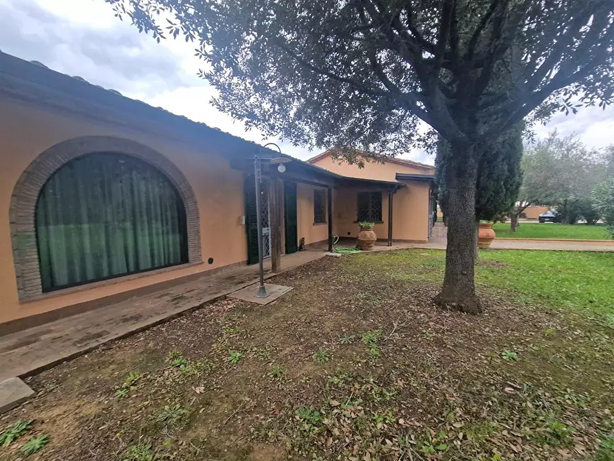 Immagine 12 di Villa in vendita  a Cecina