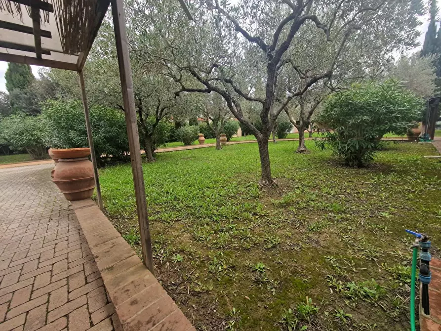 Immagine 9 di Villa in vendita  a Cecina