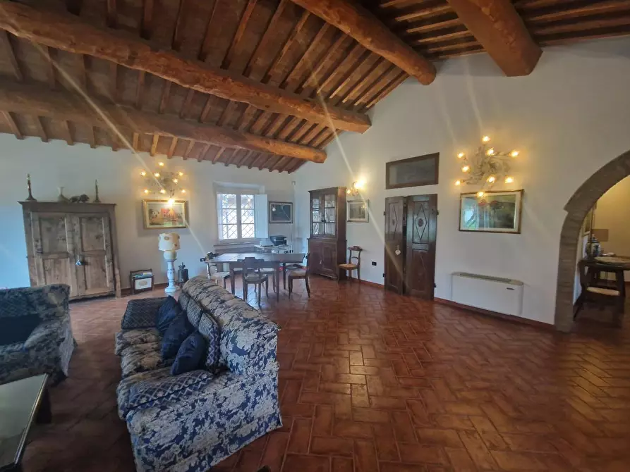 Immagine 16 di Villa in vendita  a Cecina