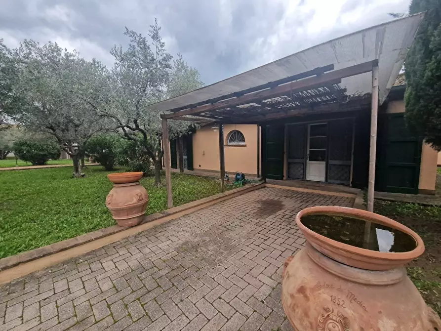 Immagine 4 di Villa in vendita  a Cecina