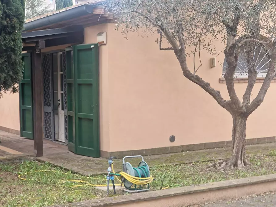 Immagine 3 di Villa in vendita  a Cecina