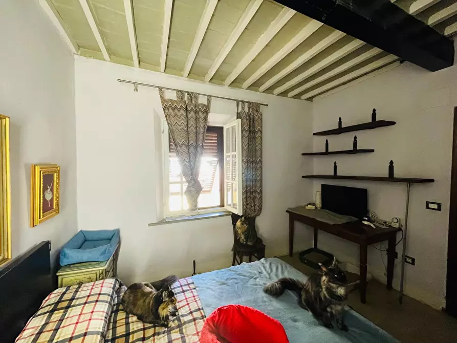 Immagine 11 di Appartamento in vendita  a Pisa