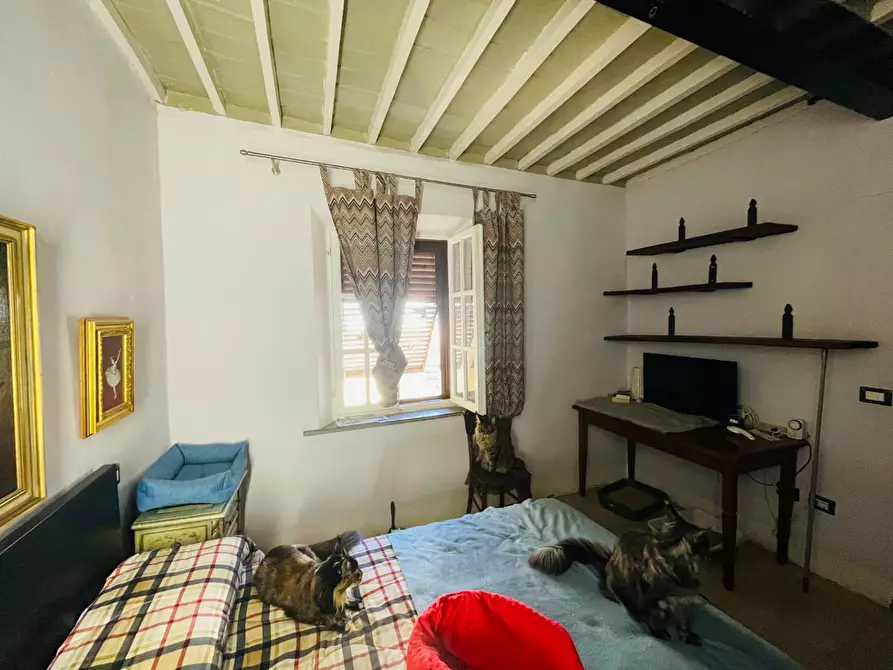 Immagine 2 di Appartamento in vendita  a Pisa