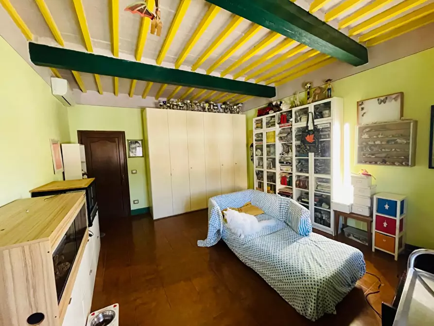 Immagine 17 di Appartamento in vendita  a Pisa