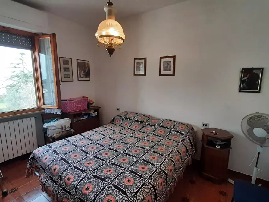Immagine 14 di Appartamento in vendita  a Rosignano Marittimo