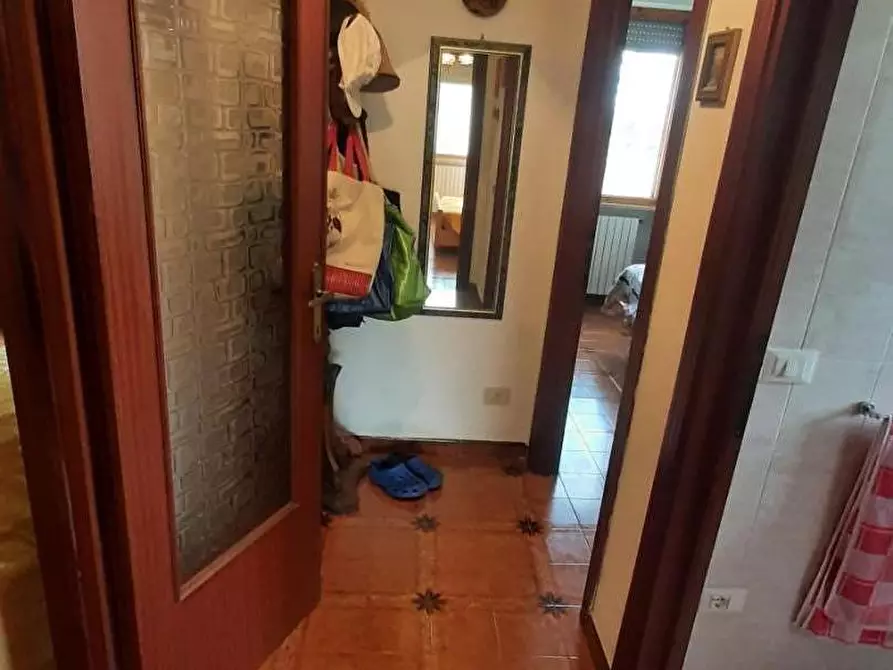 Immagine 15 di Appartamento in vendita  a Rosignano Marittimo