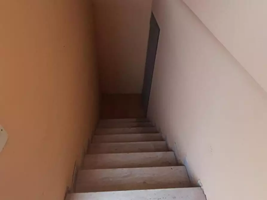 Immagine 23 di Appartamento in vendita  a Rosignano Marittimo