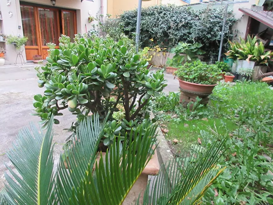 Immagine 11 di Villetta a schiera in vendita  a Empoli