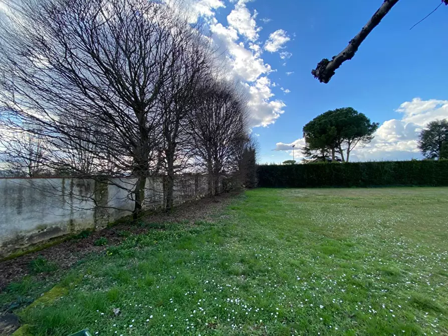 Immagine 5 di Villa in vendita  a Capannori