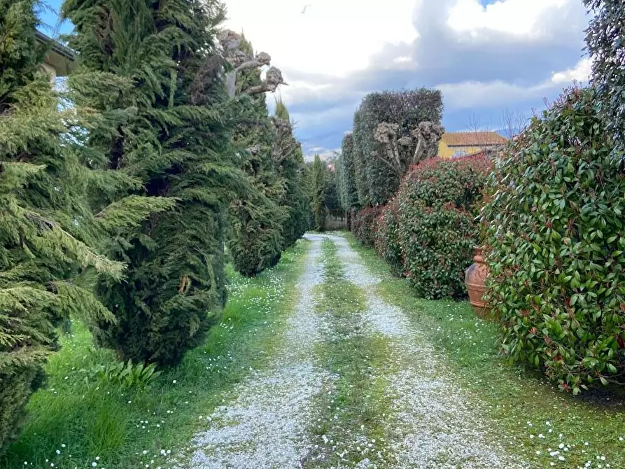 Immagine 8 di Villa in vendita  a Capannori