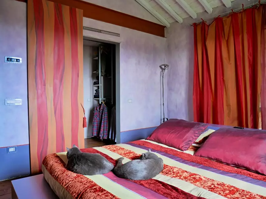 Immagine 28 di Casa colonica in vendita  a Cerreto Guidi