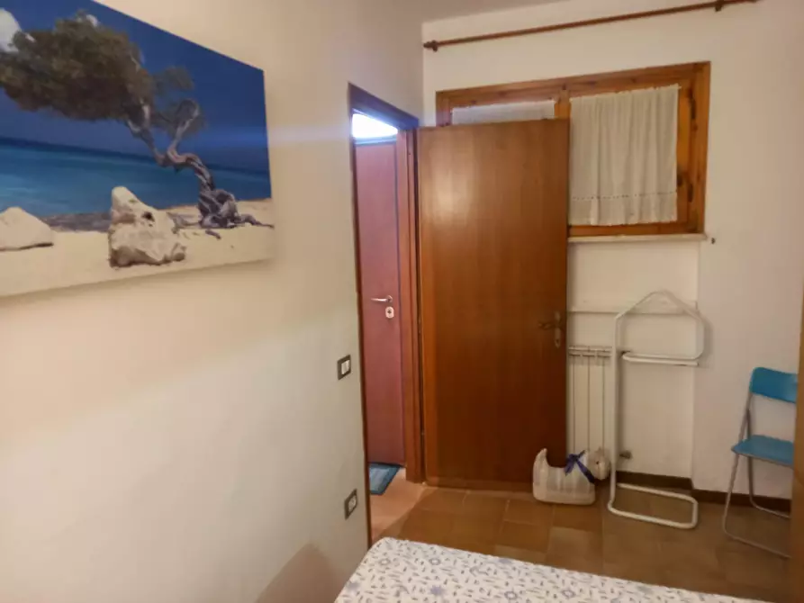 Immagine 21 di Appartamento in affitto  a Pisa