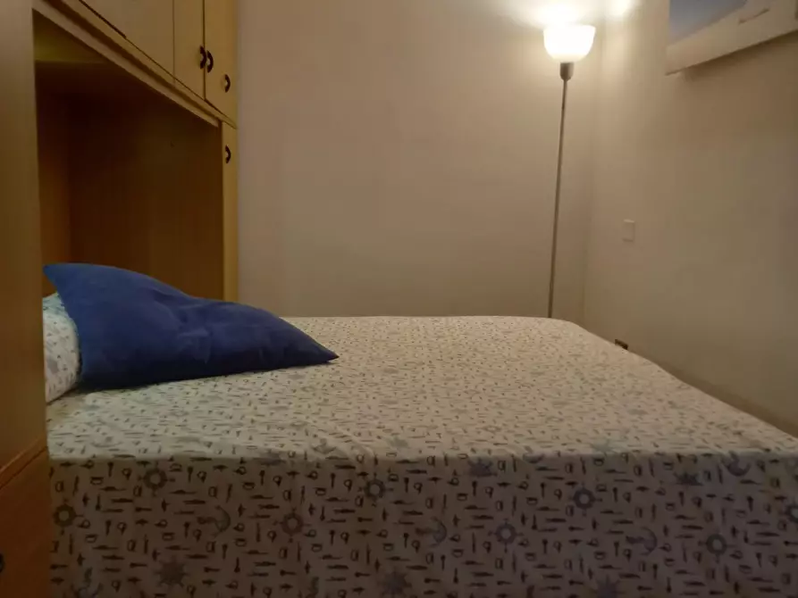 Immagine 20 di Appartamento in affitto  a Pisa