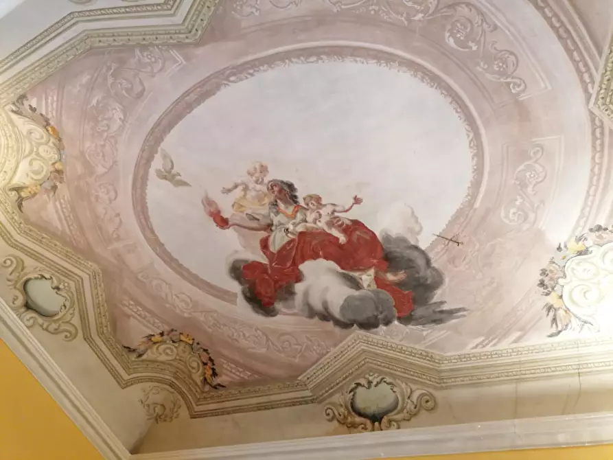 Immagine 11 di Appartamento in vendita  a Carrara