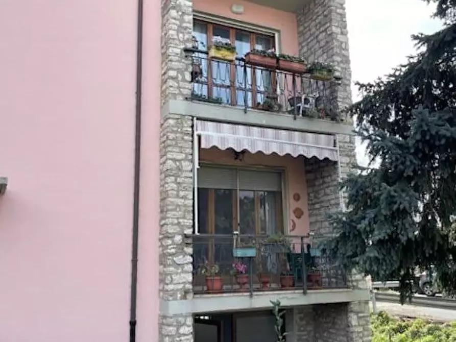 Immagine 14 di Appartamento in vendita  a San Giuliano Terme