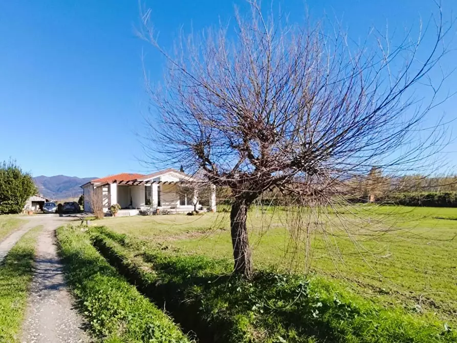 Immagine 5 di Villa in vendita  a Ameglia