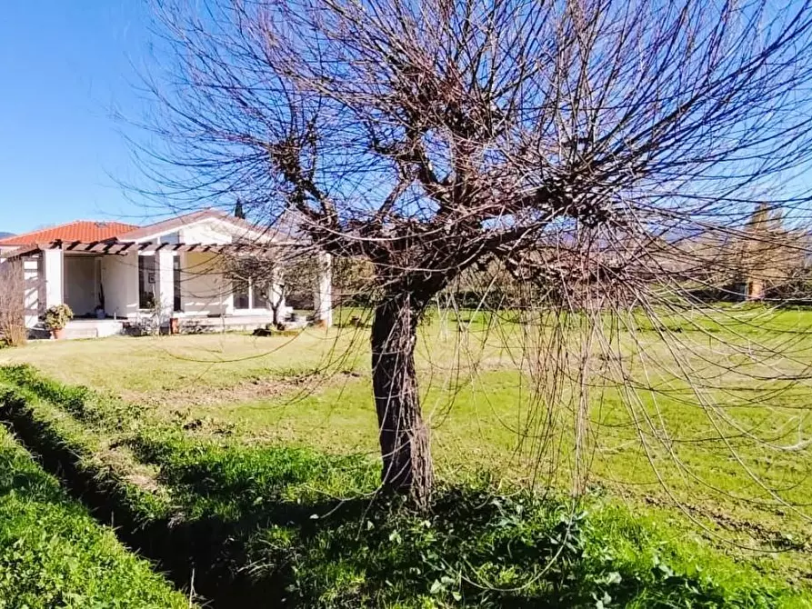 Immagine 3 di Villa in vendita  a Ameglia