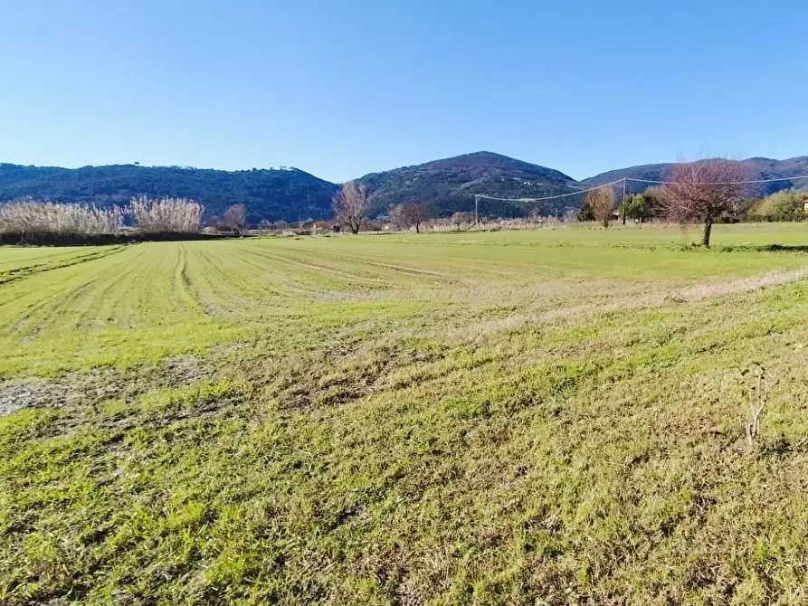 Immagine 6 di Villa in vendita  a Ameglia