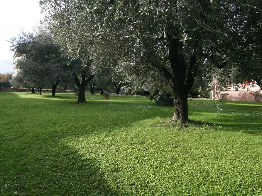 Immagine 27 di Villa in vendita  a Carrara