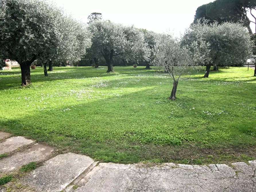 Immagine 20 di Villa in vendita  a Carrara