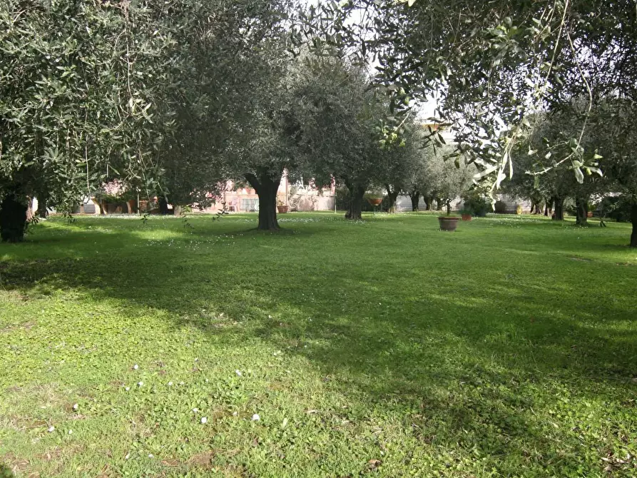 Immagine 21 di Villa in vendita  a Carrara