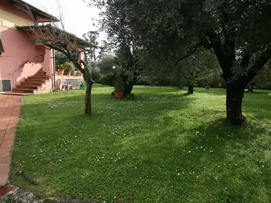 Immagine 19 di Villa in vendita  a Carrara