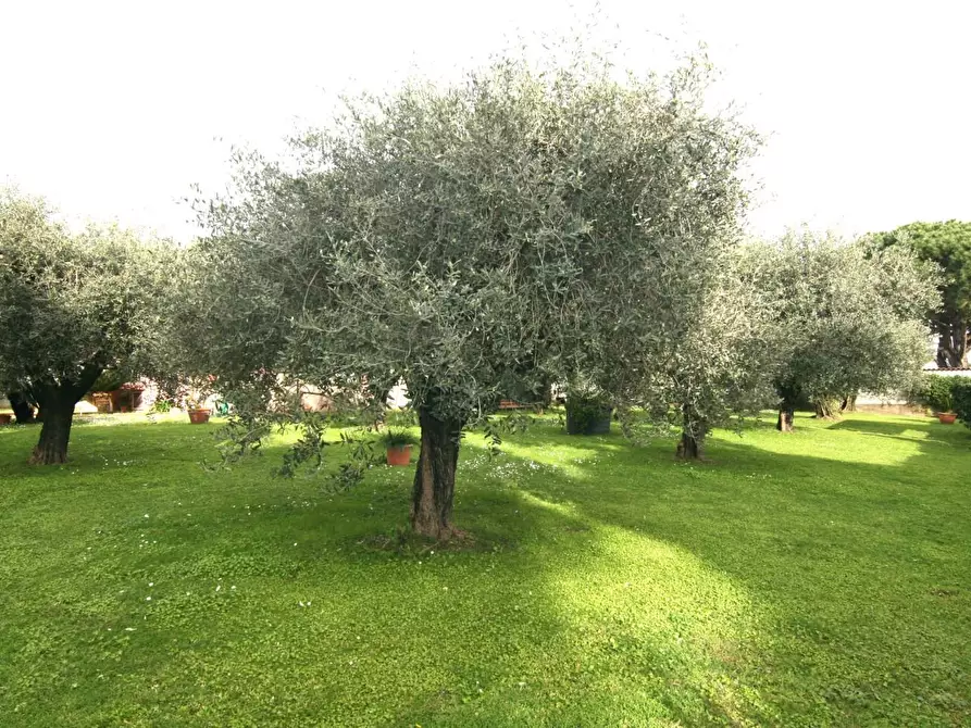 Immagine 23 di Villa in vendita  a Carrara