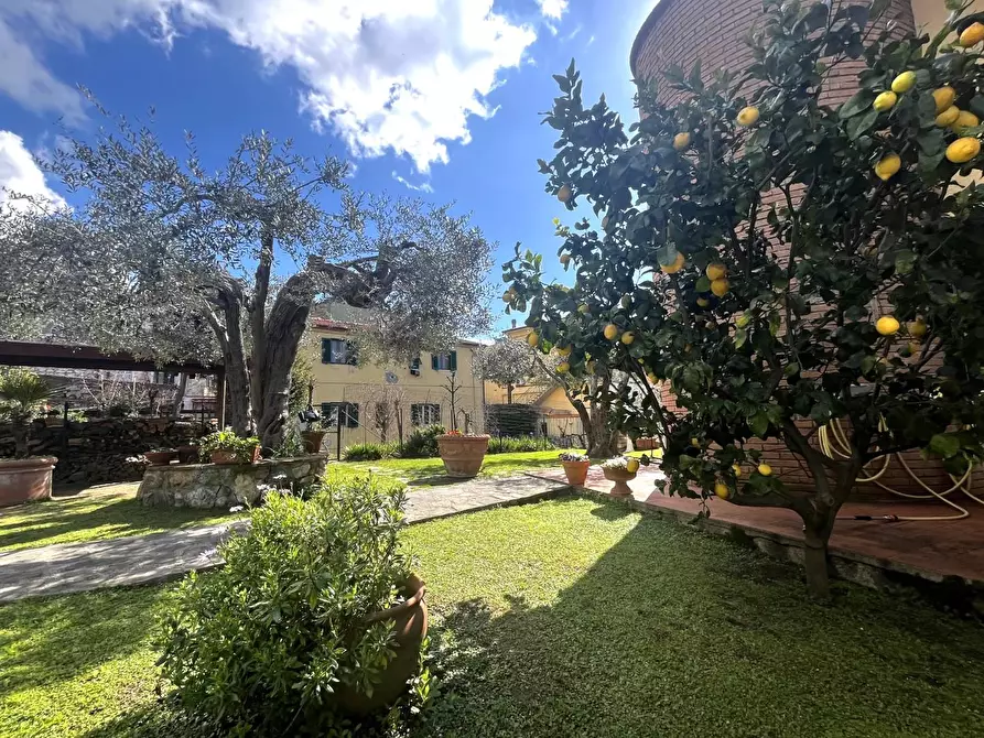 Immagine 5 di Casa bifamiliare in vendita  a Rosignano Marittimo