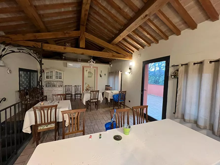 Immagine 1 di Bar / Ristorante in affitto  a Montopoli In Val D'arno