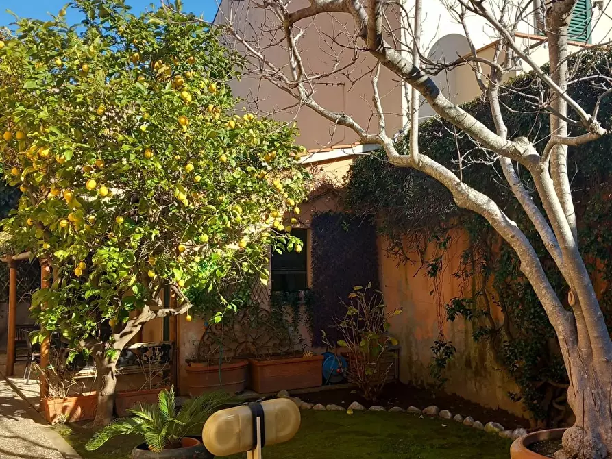 Immagine 10 di Villa in vendita  a Pisa