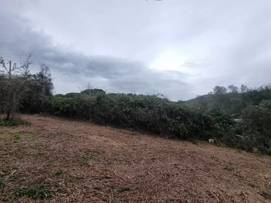 Immagine 8 di Terreno agricolo in vendita  a Livorno