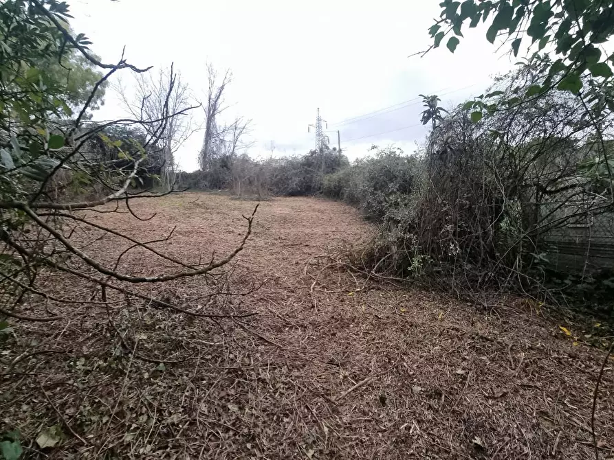 Immagine 14 di Terreno agricolo in vendita  a Livorno