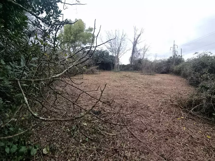 Immagine 15 di Terreno agricolo in vendita  a Livorno