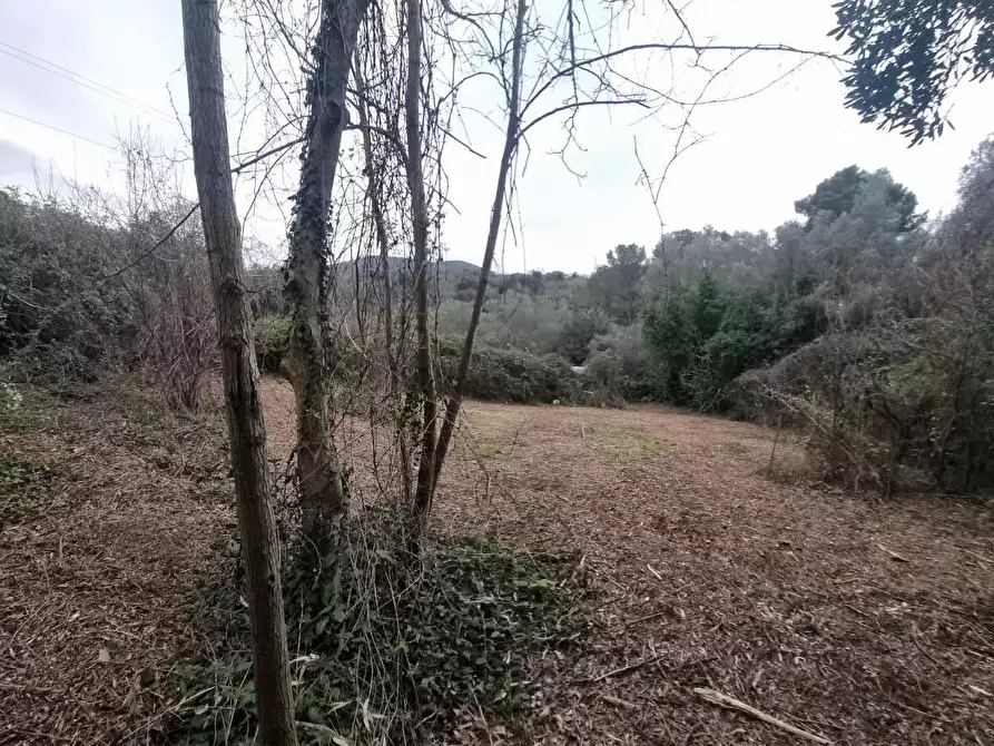 Immagine 20 di Terreno agricolo in vendita  a Livorno