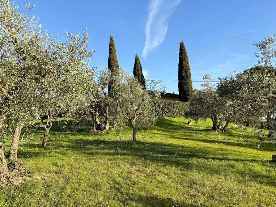 Immagine 7 di Villa in vendita  a Montespertoli