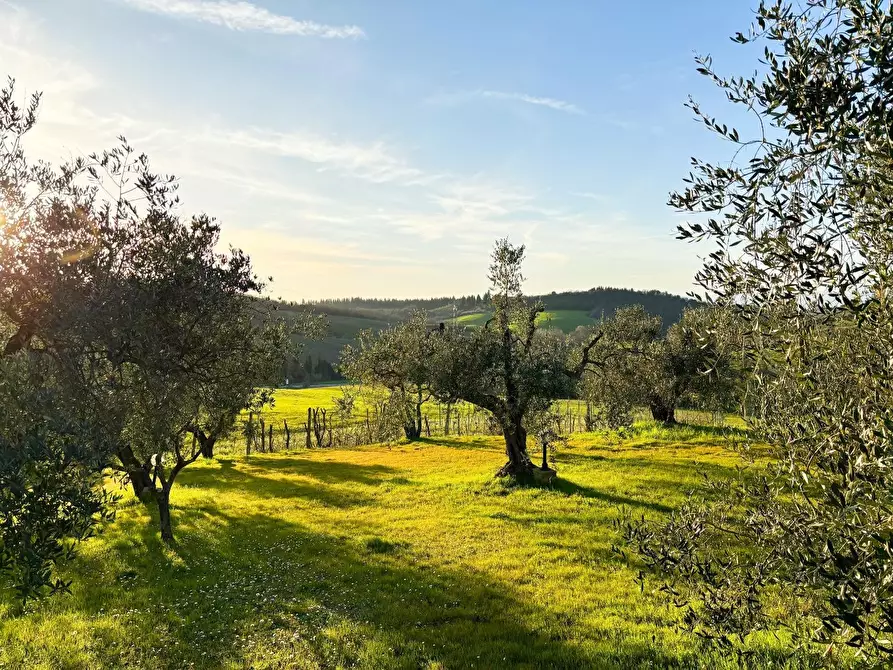 Immagine 32 di Villa in vendita  a Montespertoli