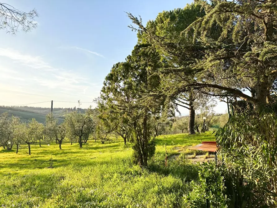Immagine 12 di Villa in vendita  a Montespertoli