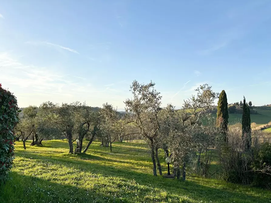 Immagine 28 di Villa in vendita  a Montespertoli