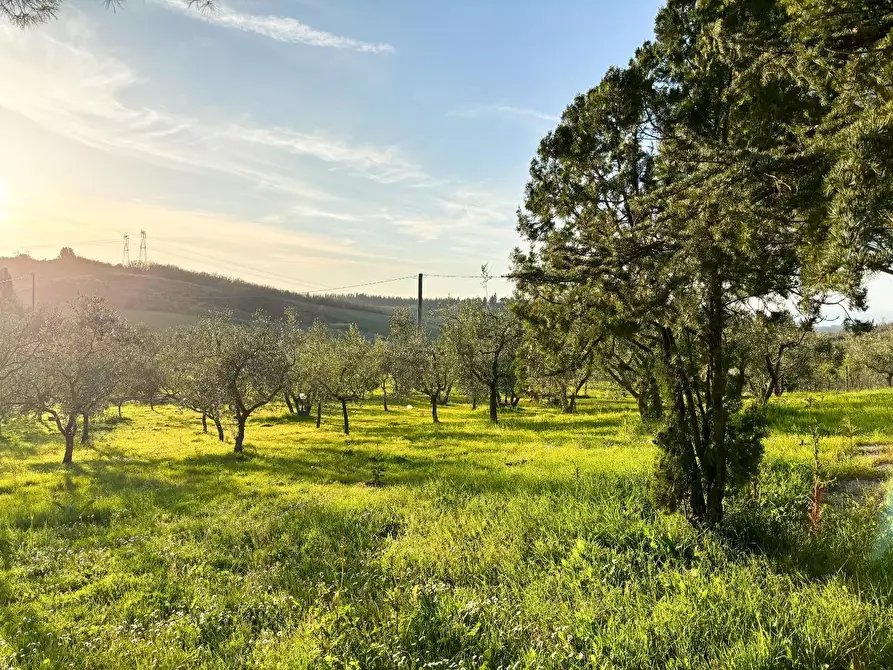 Immagine 6 di Villa in vendita  a Montespertoli