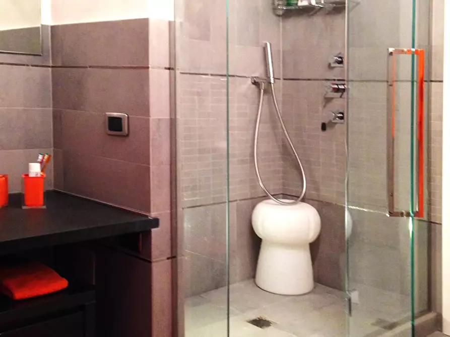 Immagine 18 di Appartamento in vendita  a Massa