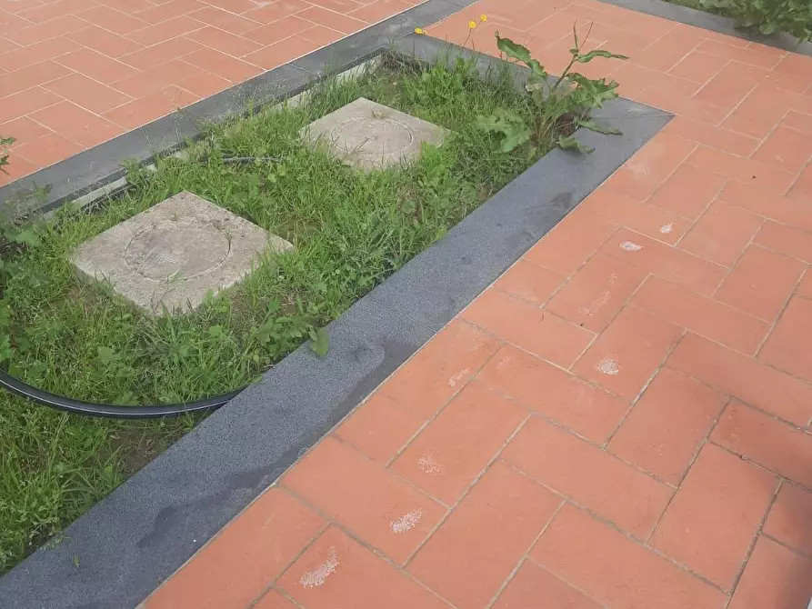 Immagine 2 di Appartamento in vendita  a Pontedera