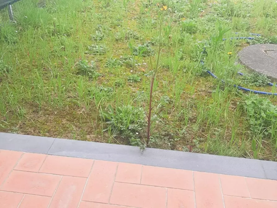 Immagine 4 di Appartamento in vendita  a Pontedera