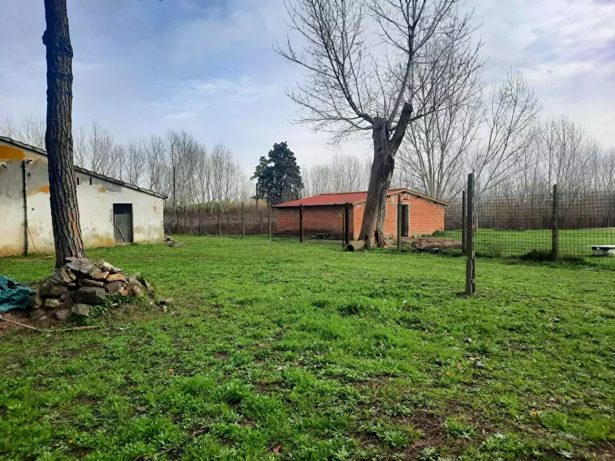 Immagine 8 di Casa indipendente in vendita  a Casciana Terme Lari